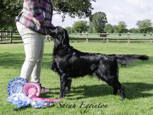 Wizzie Best In Show FCRS 2023