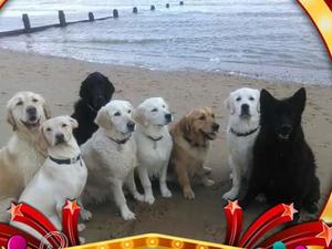 The Maddouse family