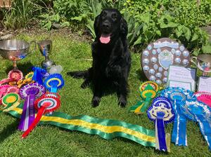 Wizzie with her winnings