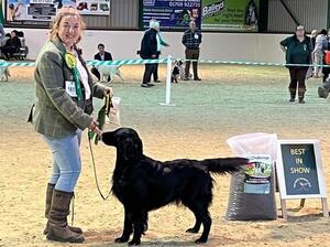 Wizzie Best In Show Mid Herts