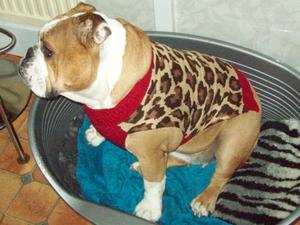 Ellie in her winter jumper!