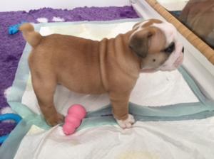 Bronson