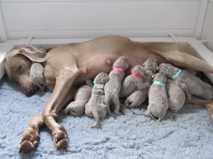 It's tiring being such a great mum