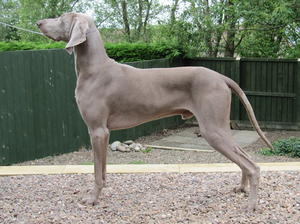 Vince at 15 months old