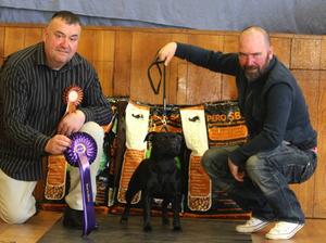 Best In Show  with Judge Bill Welsh (Staffwize)