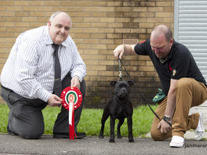 Best Puppy in Show