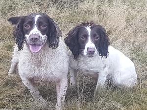 Charm and Mum, Brooke