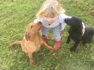 Zola and Timber as youngesters