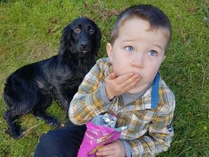 Loving family dog