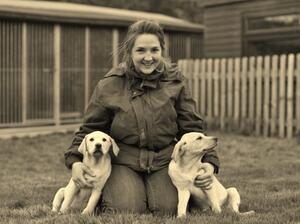 5* Licenced & KC Assured Breeder
