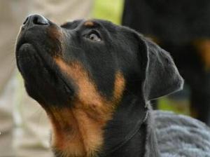 Norma at her first show
