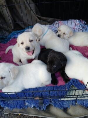 On our first car journey!