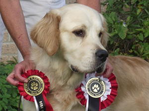 otis with his great wins