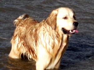 otis my prince 14 months old