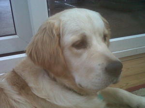 otis 8 months