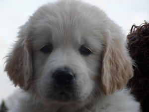 Darcey at 6 weeks