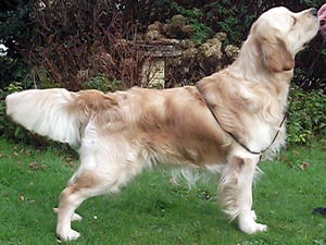 Otis 14 months