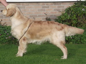 otis 10 months old