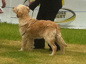 OTIS AT HIS FIRST SHOW