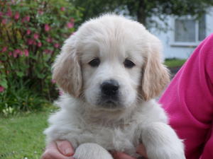 Darcey at 6 weeks
