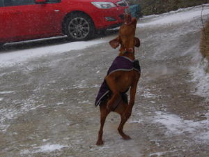 Enjoying the snow