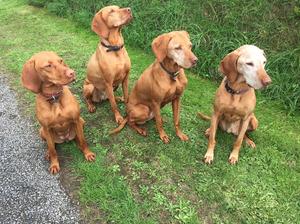 Ronni, Nancy, Lola and granny Ria