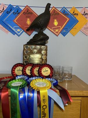 Awards crufts 2022