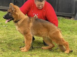 Zante @ 5 months old