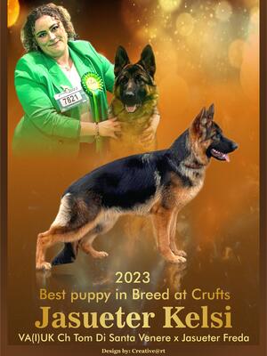 Kelsi winning best puppy in breed at Crufts