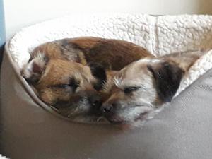 two of our girls at home
