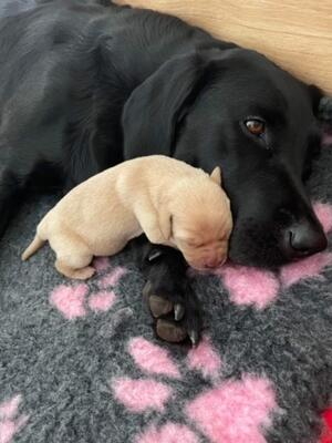 Cuddle time
