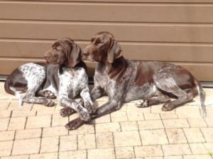 Ralf and Ginnie