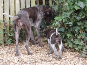 Ginnie and Ralf