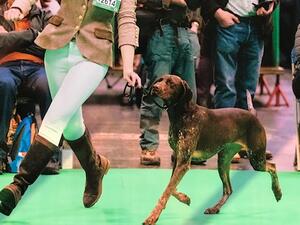 Heidi & Jade CRUFTS 2022