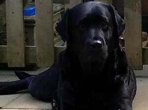 Esme @ 5 years