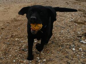 Quest @ beach