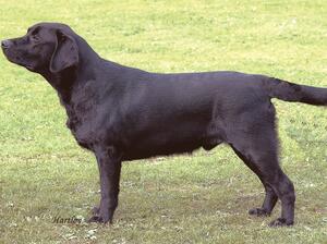 Quest @ 9 months