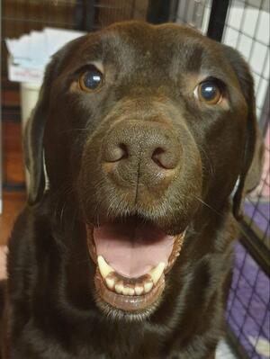 Luna @ 6 years