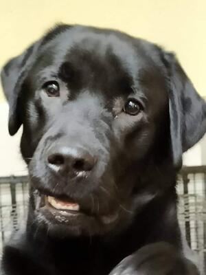 Denver @ 12 months