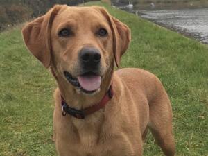 Magnificent Milly of Lowton