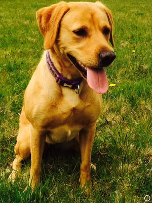 Marzipan Marge - Margie