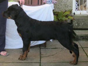 MELVIN AT 5 MONTHS