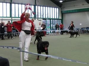 OSCAR BECOMES A UK CHAMPION
