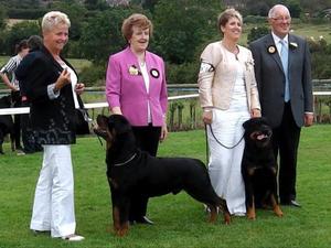 E.C.R.C. 2012