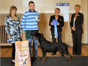 BEST IN SHOW