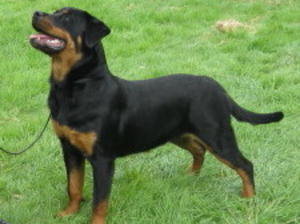 JASMINE AT 7 MONTHS