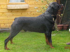 RUBEN