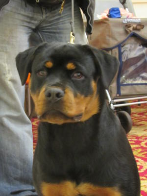 BUSTER AT 5 MONTHS