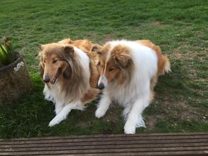 Hazel with her daughter Floss