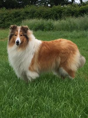 Our Floss